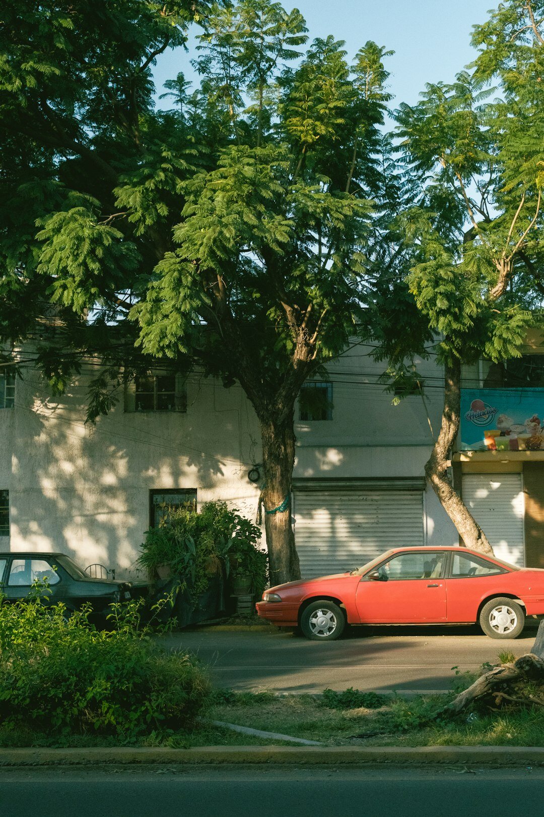 neighborhood street scene